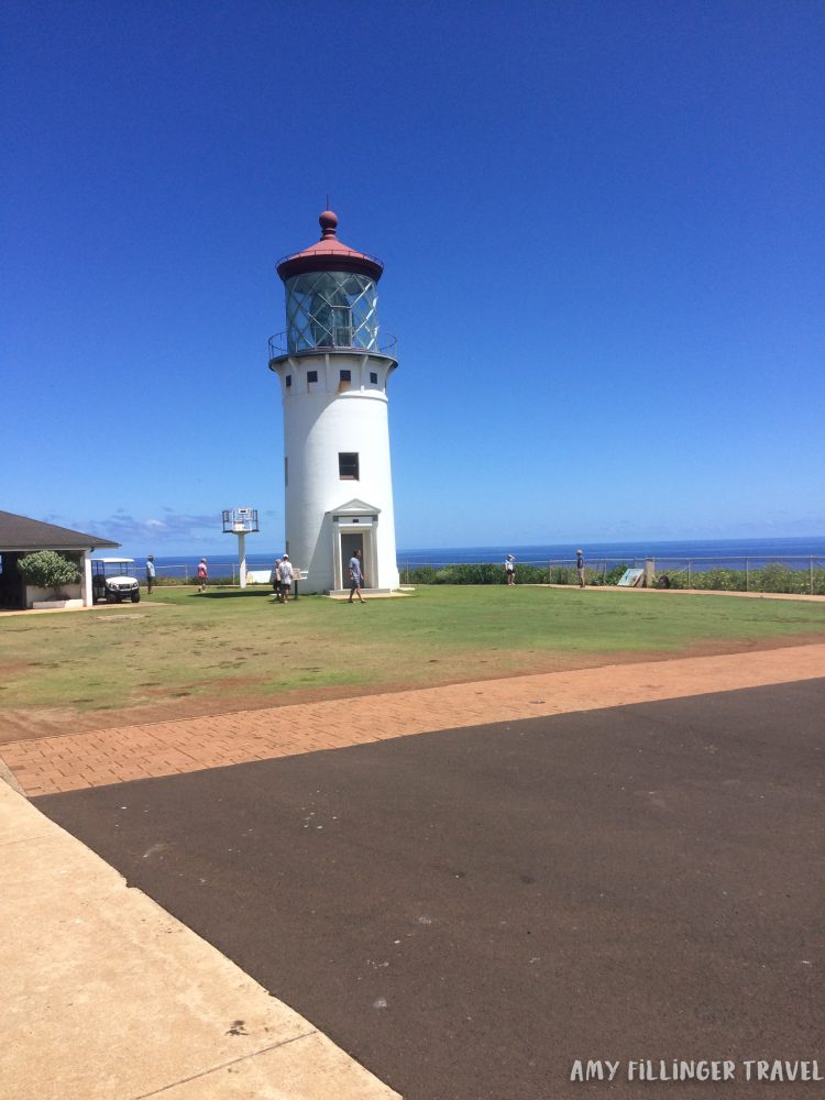 25 amazing things to do on Kauai You don't want to miss this!