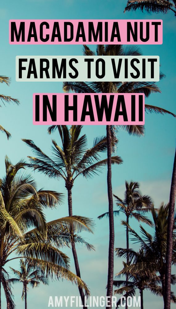 The best macadamia nut farms in Hawaii to visit