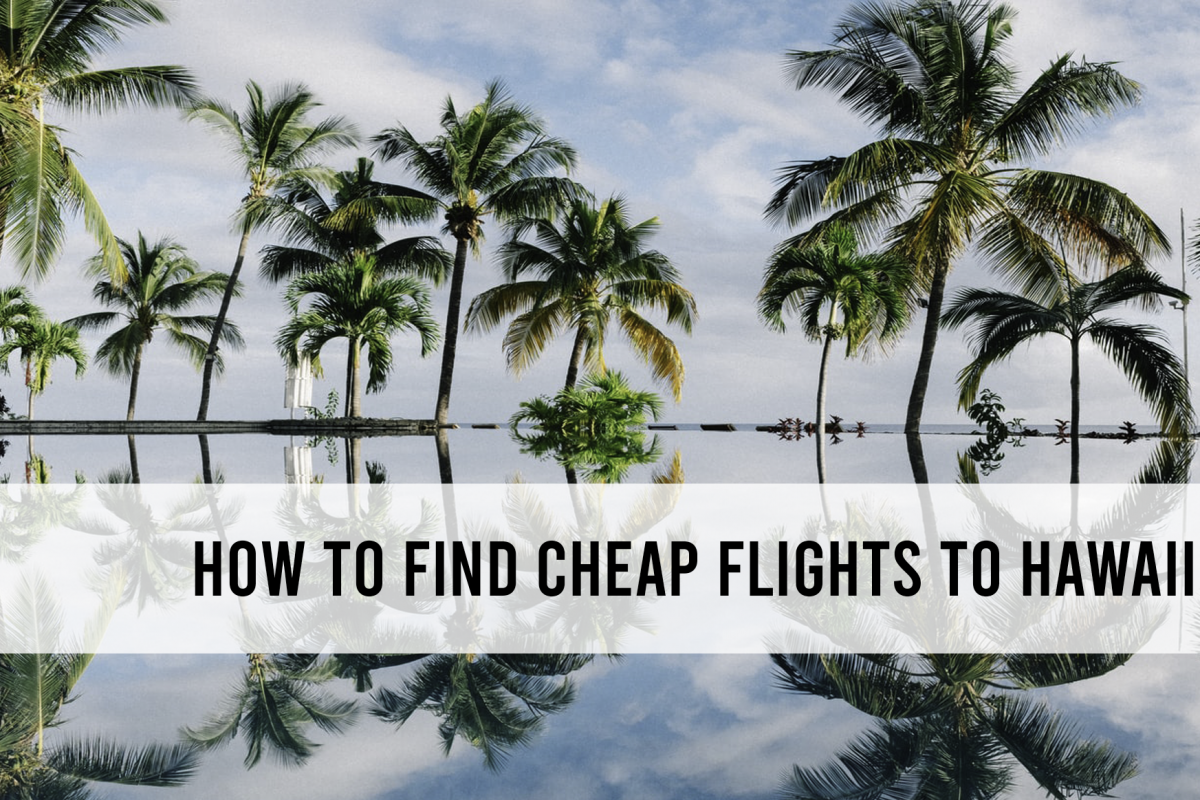 How to find a cheap flight to Hawaii in 2022