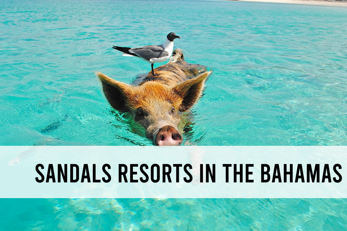 Sandals Resorts in the Bahamas Royal Bahamian vs. Emerald Bay
