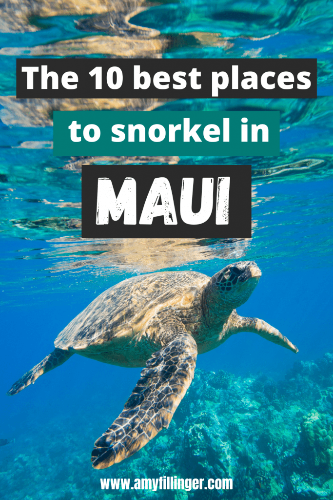 The best places to snorkel in Maui Where to find the best snorkeling Maui