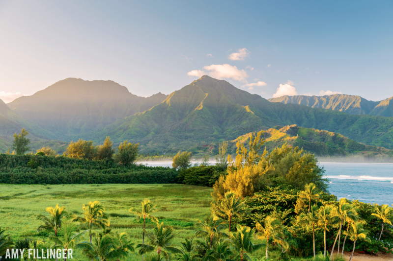 Things to do in Hanalei and the North Shore of Kauai