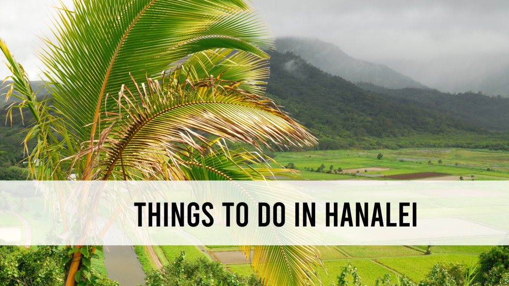 Things to do in Hanalei and the North Shore of Kauai