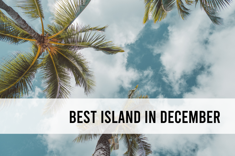 The best island to visit in Hawaii in December