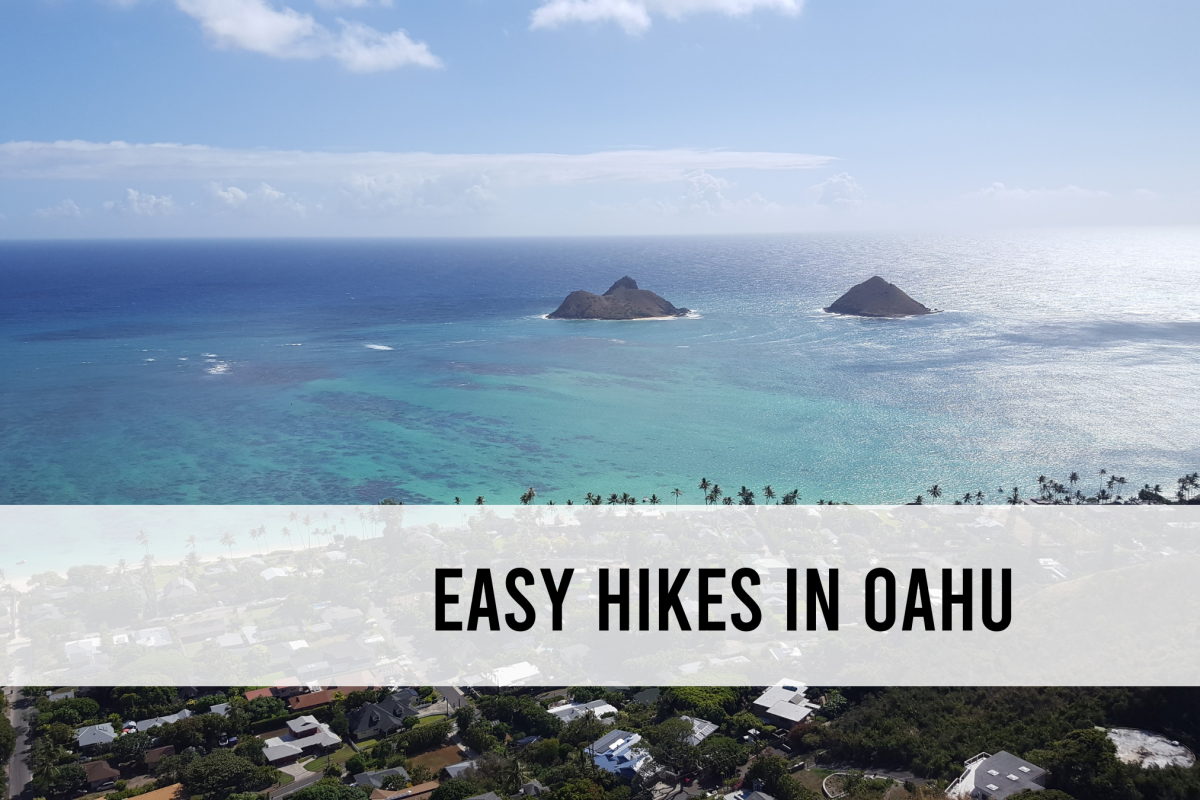 10 easy hikes in Oahu (familyfriendly Oahu hikes)