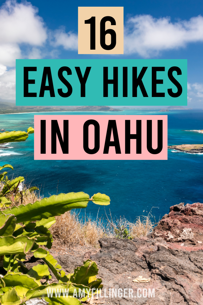 10 easy hikes in Oahu (family-friendly Oahu hikes)